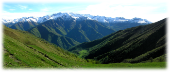 Example content image