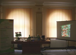 Loading Image...