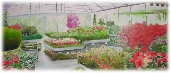Example content image