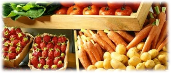 Example content image
