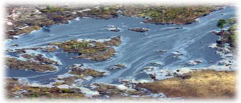 Example content image